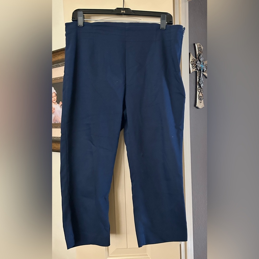 Navy Capri Pants
